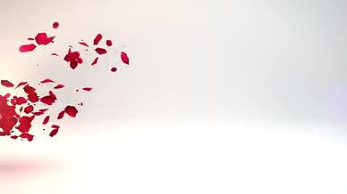 漂亮的玫瑰花瓣logo揭示开场AE模板视频的预览图